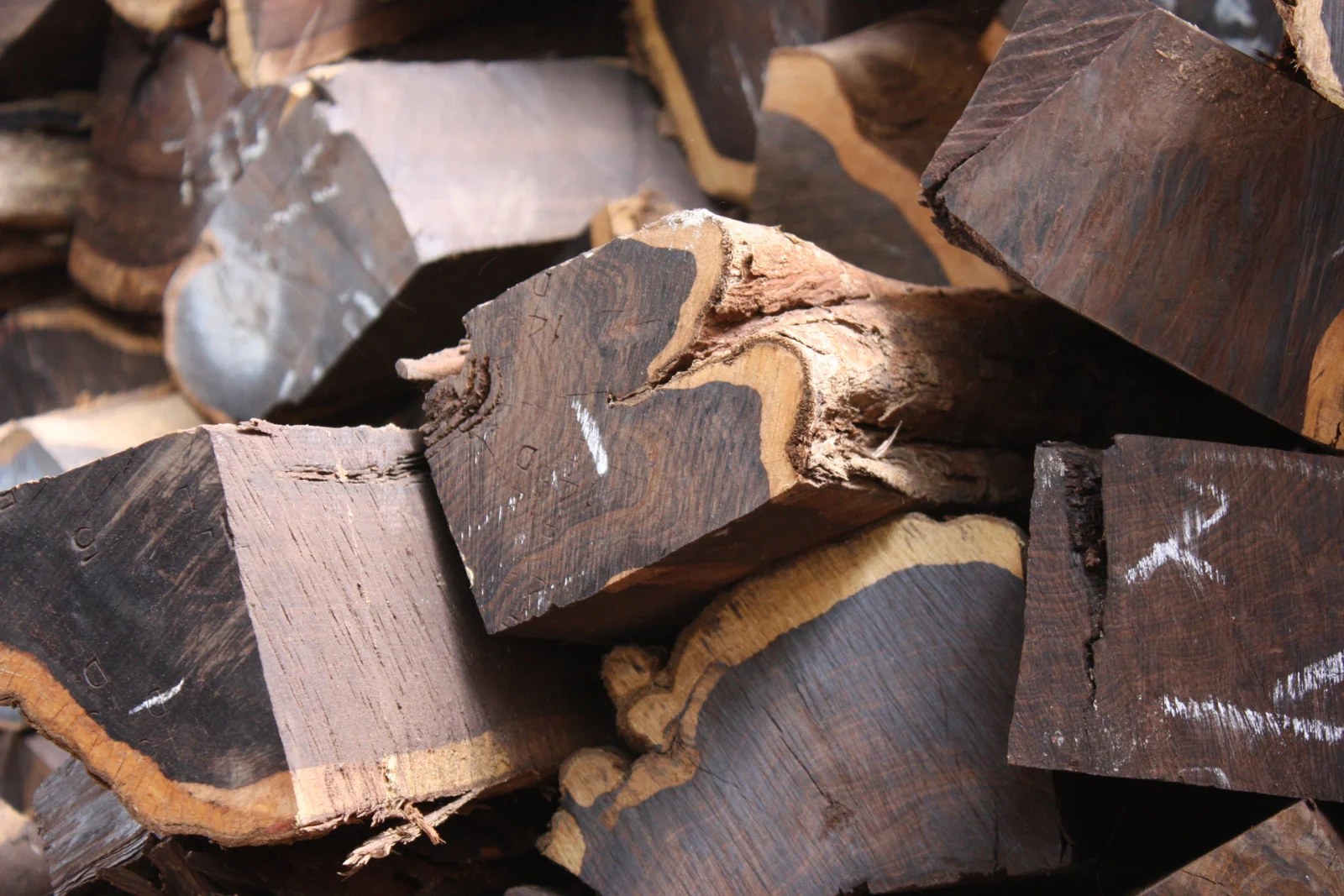 African Black Wood Logs